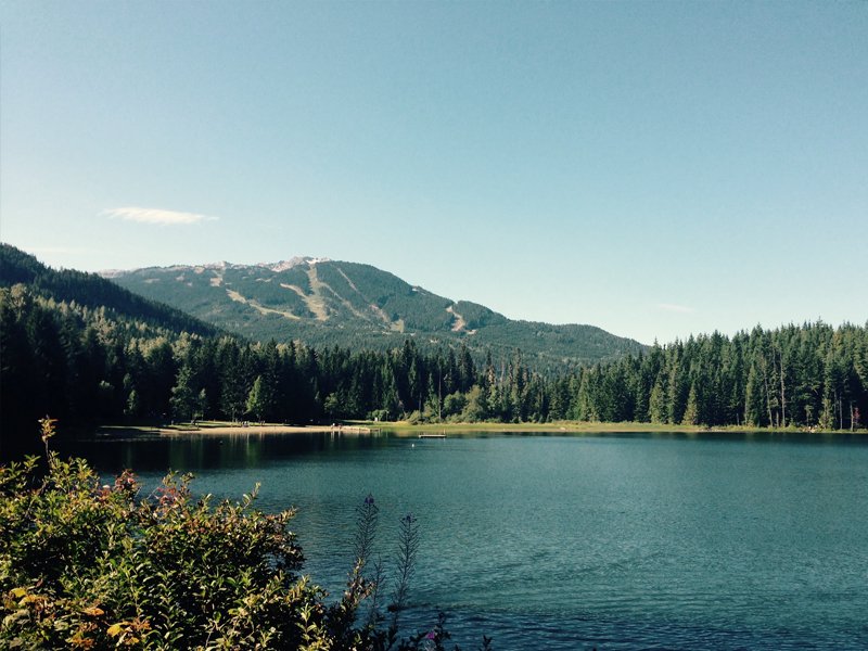 Forest & Lake